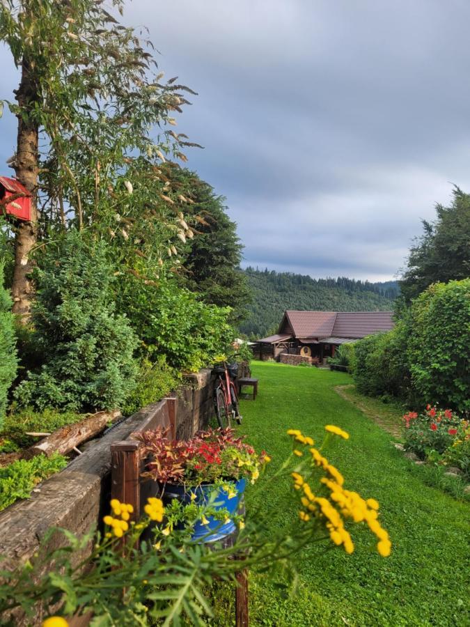 Osada Bura Polana Villa Ujsoly Bagian luar foto