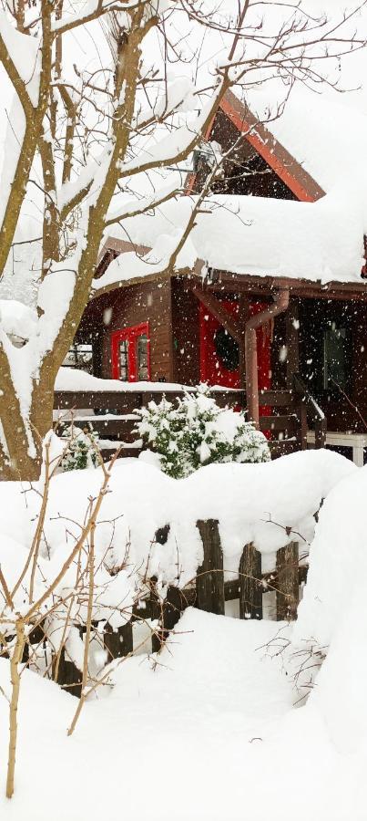 Osada Bura Polana Villa Ujsoly Bagian luar foto