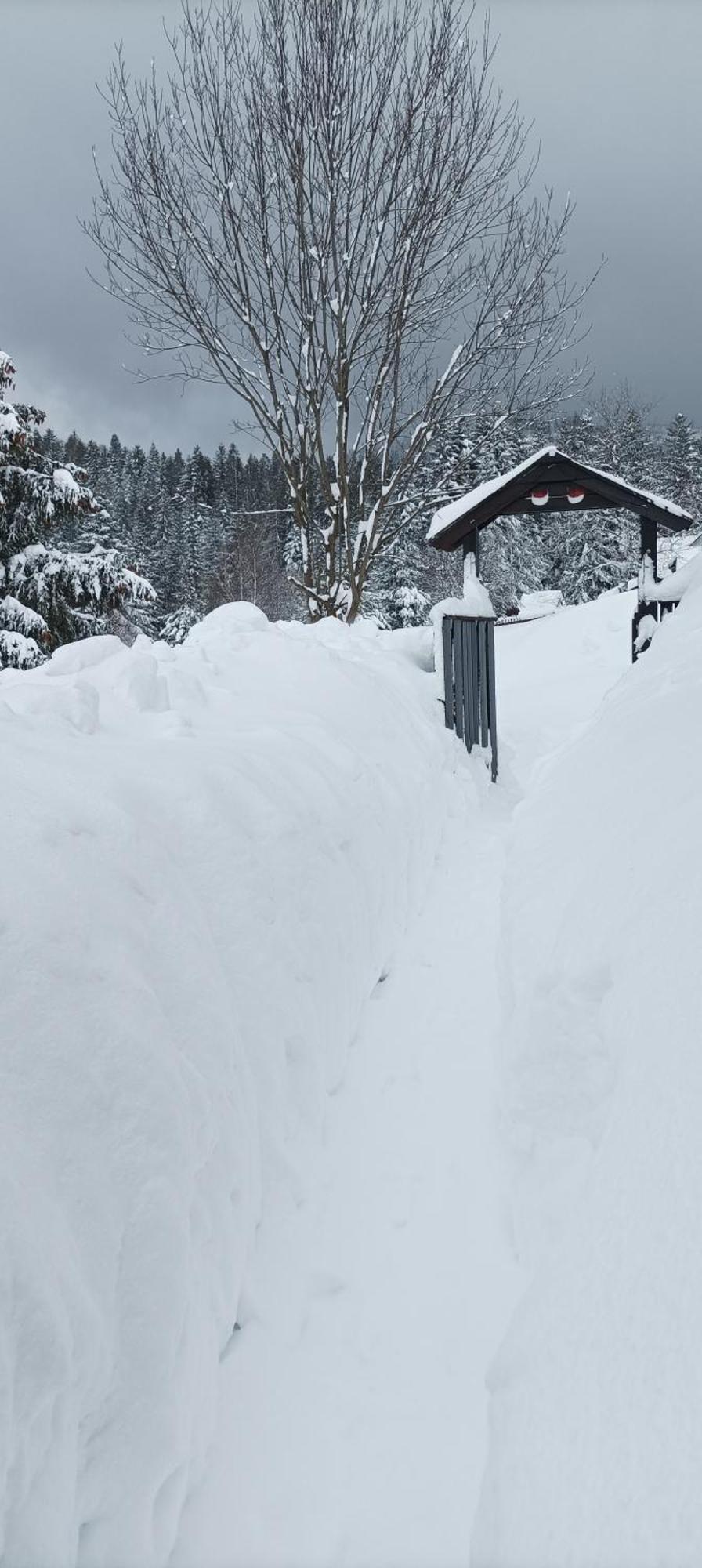 Osada Bura Polana Villa Ujsoly Bagian luar foto